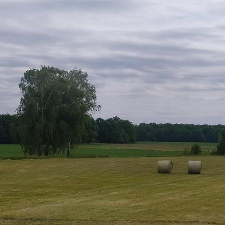 Ubytovani U Sobotku Trebon Luaran gambar
