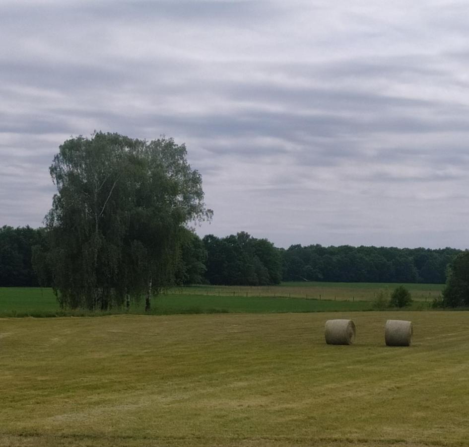 Ubytovani U Sobotku Trebon Luaran gambar